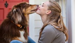 Cómo conectar con personas amantes de los animales en Lleida
