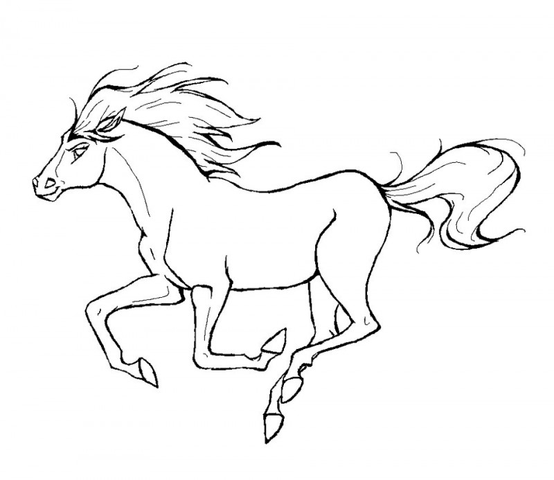 dibujos caballos