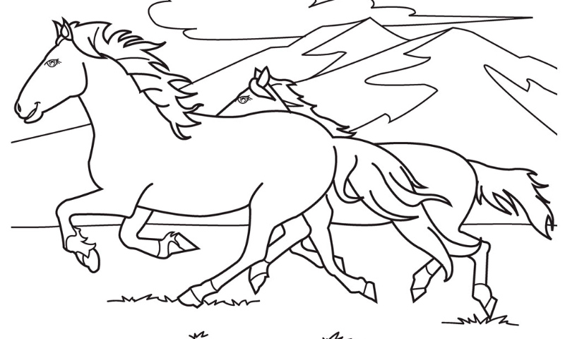 Dibujos de caballos
