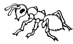 Dibujos de hormigas