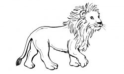 Dibujos de leones