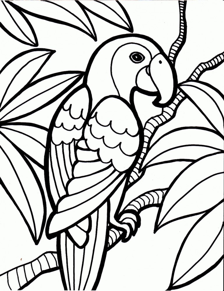 rainforest mandala art coloring pages to print - photo #17