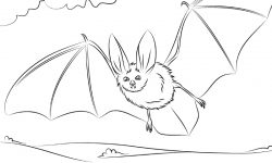 Dibujos de murciélagos