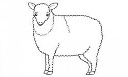 Dibujos de ovejas
