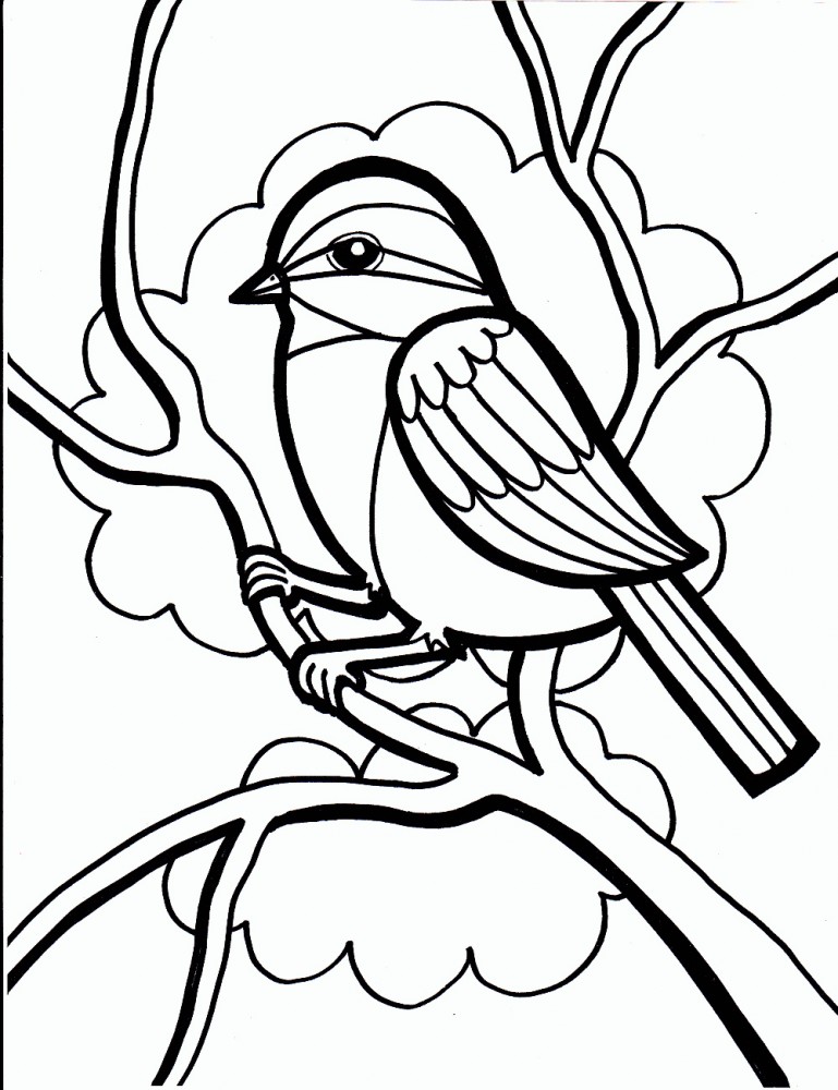 Dibujos De P JAROS Para Colorear Y Pintar Dibujos De P JAROS Para Colorear Y Pintar