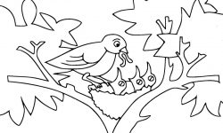 Dibujos de pájaros