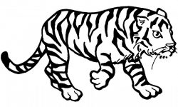 Dibujos de tigres
