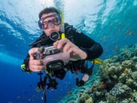 Las 7 mejores cámaras deportivas acuáticas para bucear y grabar peces