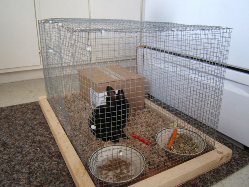 Qué debe tener una jaula para conejos