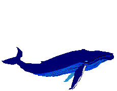 Gifs animados de animales: ballenas