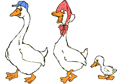 Gifs animados de animales: patos