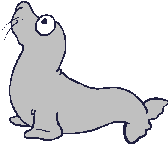Gifs animados de focas