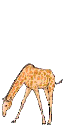 Gifs animados de jirafas