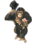 Gifs animados: mono romántico