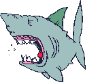 Imágenes animadas de tiburones