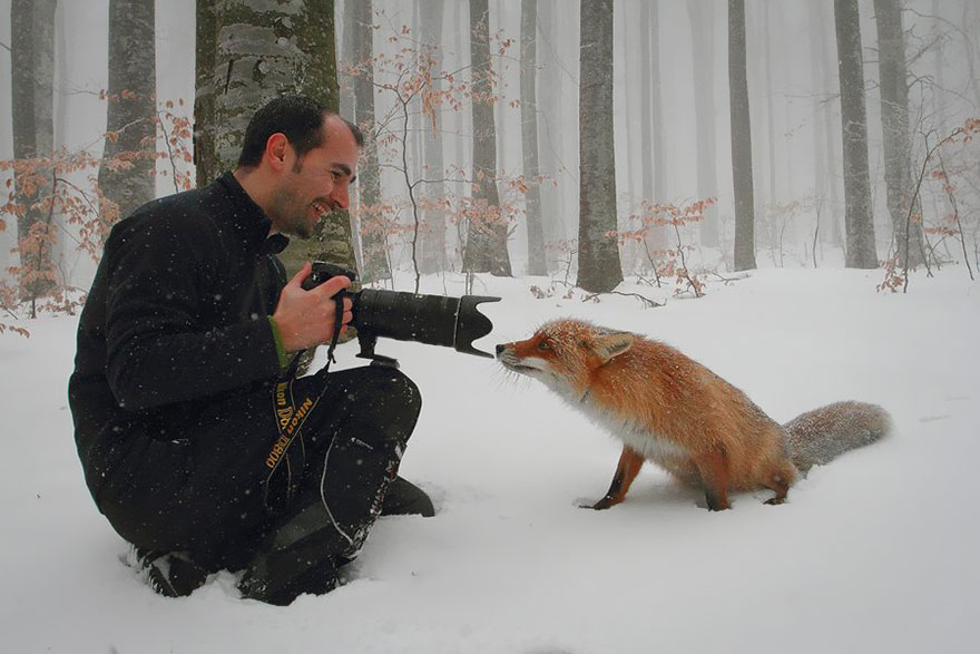 Animales que quieren ser fotografos (10)