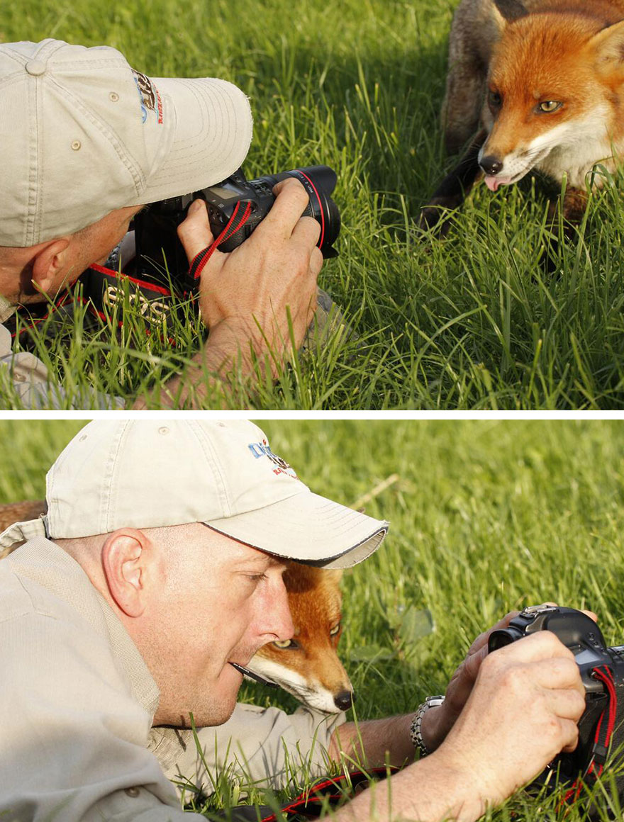 Animales que quieren ser fotografos (2)