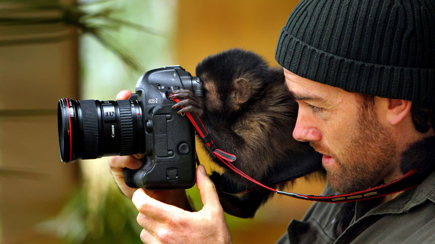 Animales que quieren ser fotografos (20)