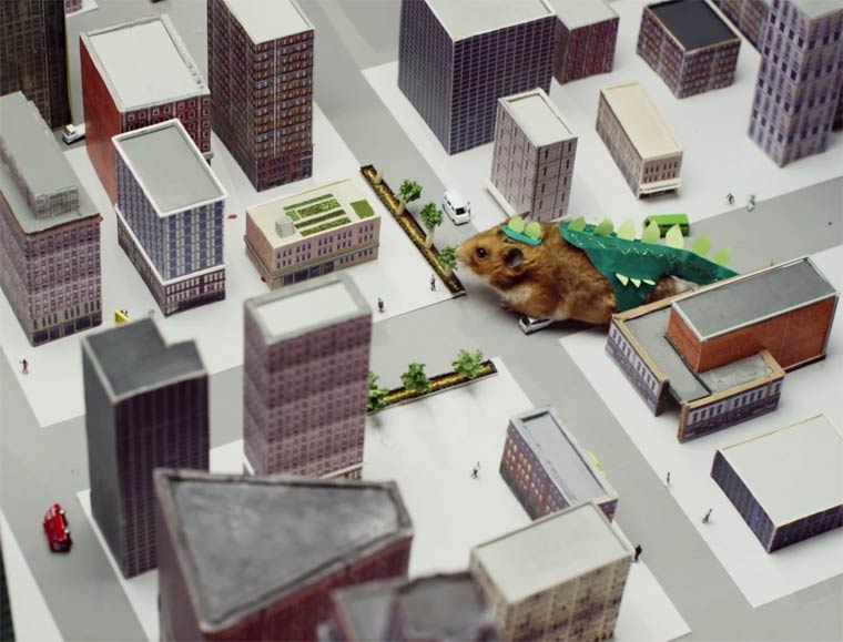 Pequeno hamster se convierte en Godzilla (4)
