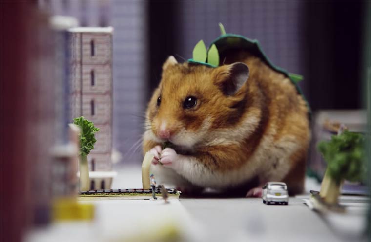 Pequeno hamster se convierte en Godzilla (5)