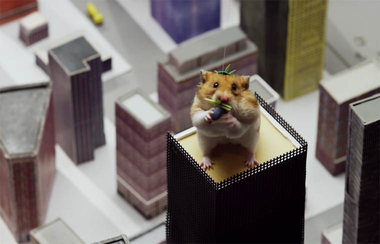 Pequeno hamster se convierte en Godzilla (9)