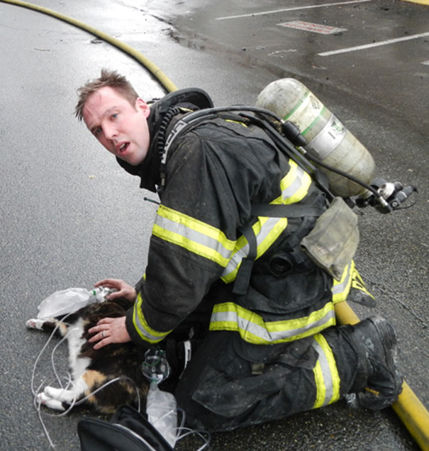 Recopilatorio de bomberos ayudando a animales (7)